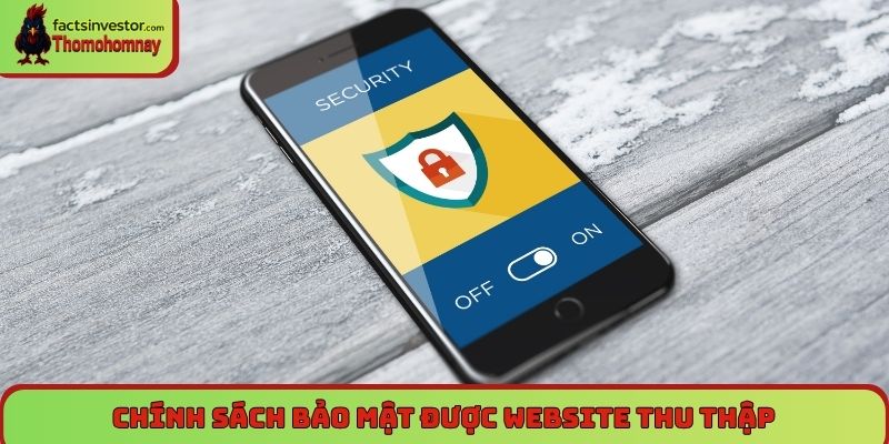 Chính sách bảo mật Thomohomnay - An toàn dữ liệu, uy tín 4 Chính sách bảo mật được website thu thập