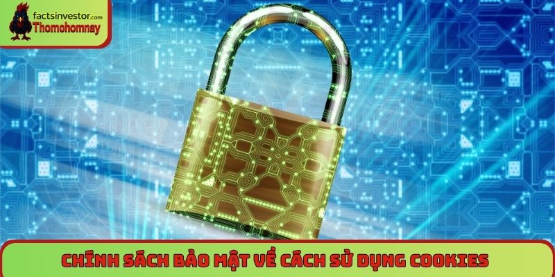 Chính sách bảo mật Thomohomnay - An toàn dữ liệu, uy tín 6 Chính sách bảo mật về cách sử dụng cookies