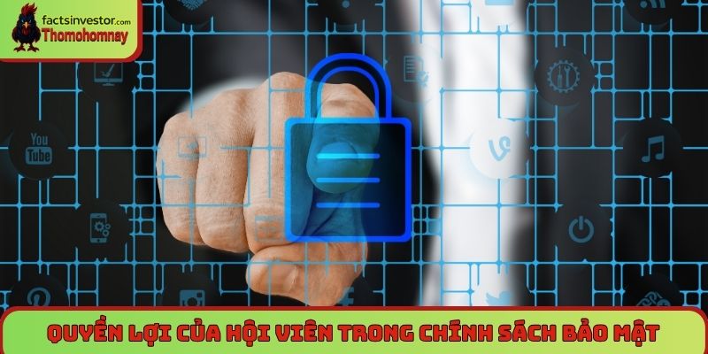 Chính sách bảo mật Thomohomnay - An toàn dữ liệu, uy tín 5 Quyền lợi của hội viên trong chính sách bảo mật